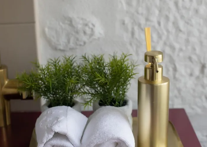 Trovador 4* 吉马良斯